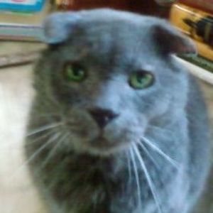 Meet your Posher, Frank n.